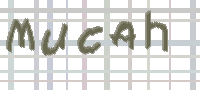 CAPTCHA Bild zum Spamschutz 